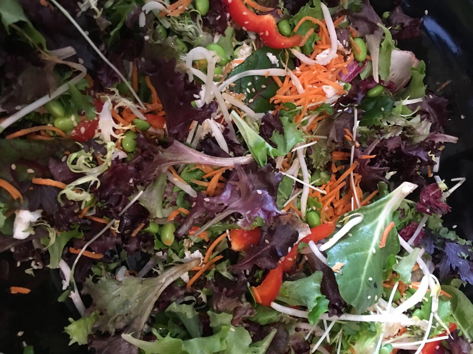 Mixed greens with shredded carrot and sprouts.